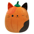Pumpkin Cam - 1