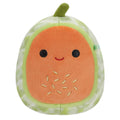 8-Inch Francois the Cantaloupe - 1