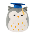 12-Inch Hoot the Grey Owl in Graduation Cap - 1